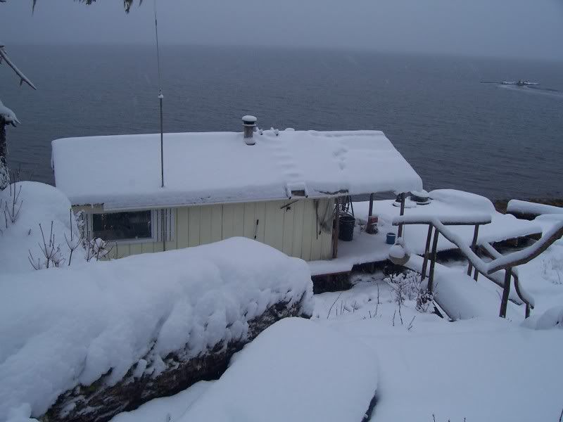 Who on here lives in a "tiny house" - Homesteading Questions