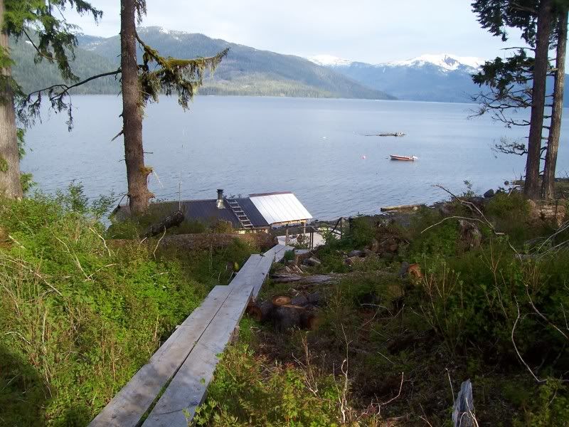 Who on here lives in a "tiny house" - Homesteading Questions