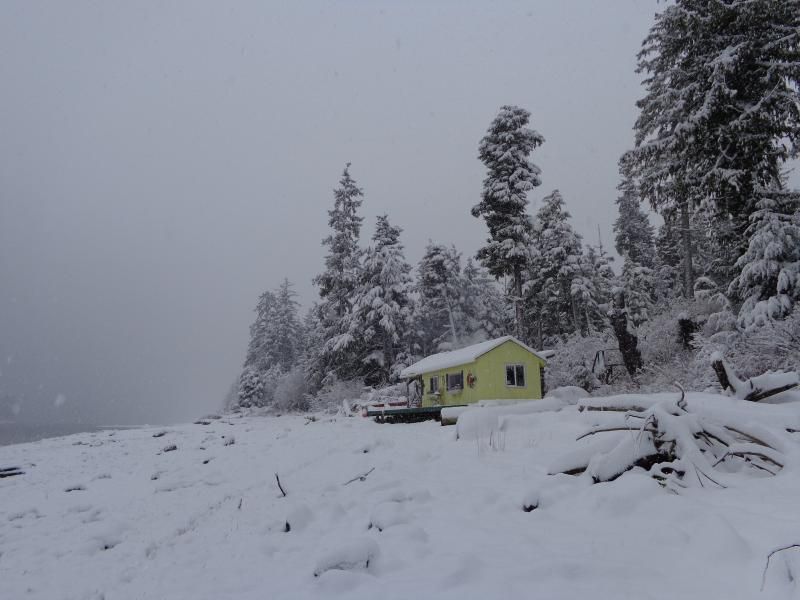 living alone - Homesteading Questions