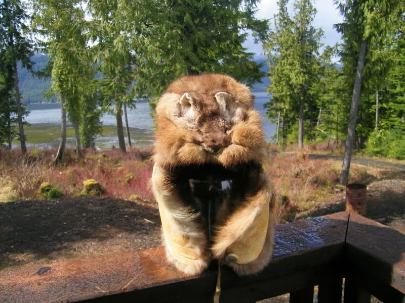 How to sell my furs, can you help? (pics) - Work-at-Home Business