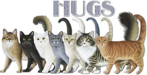 hugswsevencats.jpg 7 cats hugs image by kittybud420