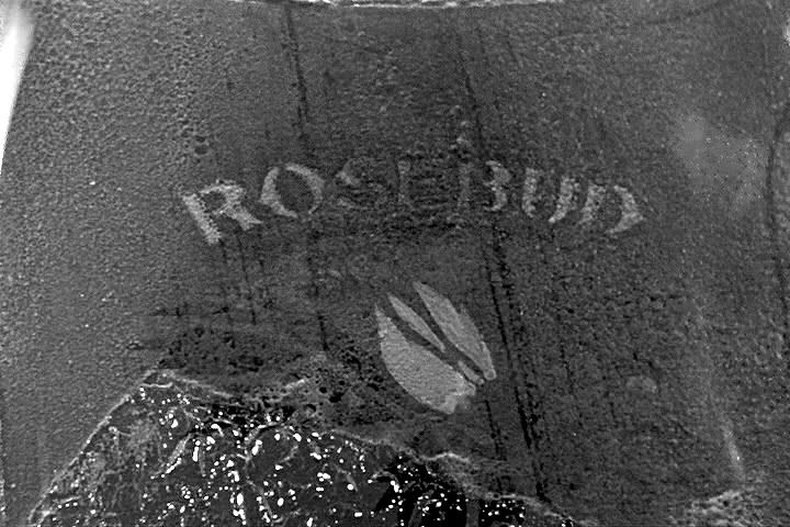 rosebud7.jpg