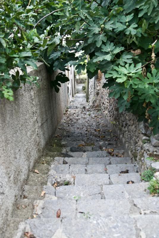 photo DSC_1223_zpsc4d95fa0.jpg