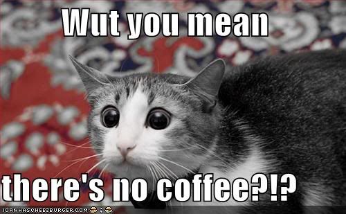 No Coffee!!! Pictures, Images and Photos