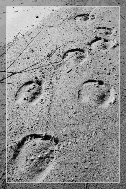 IMAGE: http://i58.photobucket.com/albums/g259/BigBoy_NS/Miholjsko%20leto%20na%20Dunavu/IMG_9746.jpg