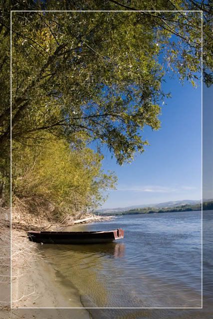 IMAGE: http://i58.photobucket.com/albums/g259/BigBoy_NS/Miholjsko%20leto%20na%20Dunavu/IMG_9757.jpg