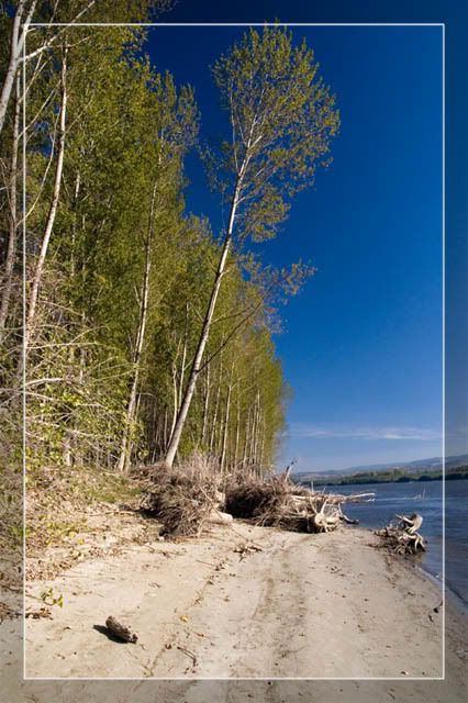 IMAGE: http://i58.photobucket.com/albums/g259/BigBoy_NS/Miholjsko%20leto%20na%20Dunavu/IMG_9759.jpg