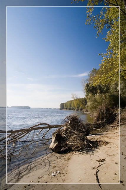 IMAGE: http://i58.photobucket.com/albums/g259/BigBoy_NS/Miholjsko%20leto%20na%20Dunavu/IMG_9772.jpg