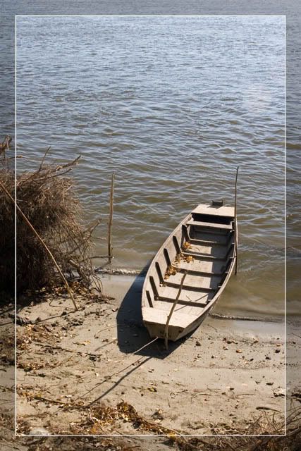 IMAGE: http://i58.photobucket.com/albums/g259/BigBoy_NS/Miholjsko%20leto%20na%20Dunavu/IMG_9802.jpg