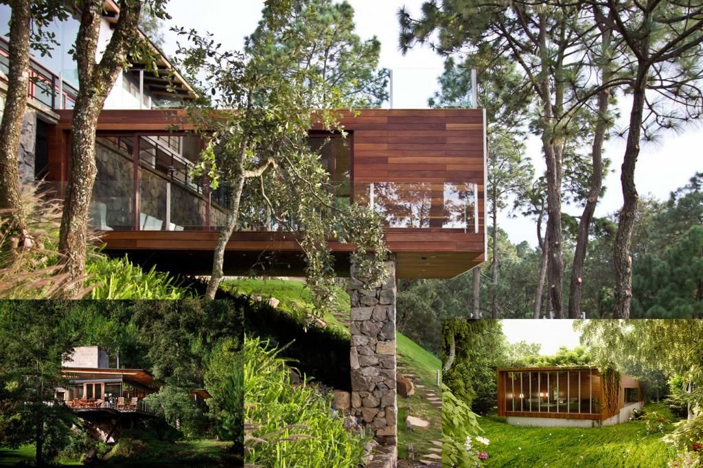 contemporary-wooden-and-glass-forest-house.jpg