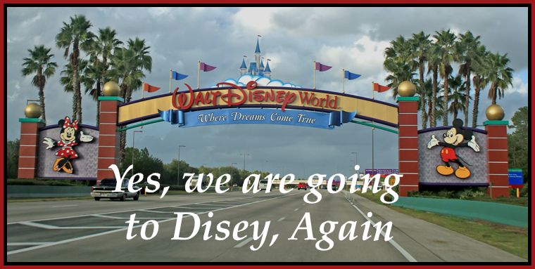 Dos semanas en Orlando: Walt Disney World (en construcción) - Blogs de USA - Disneyland Paris o Walt Disney World Orlando? (1)