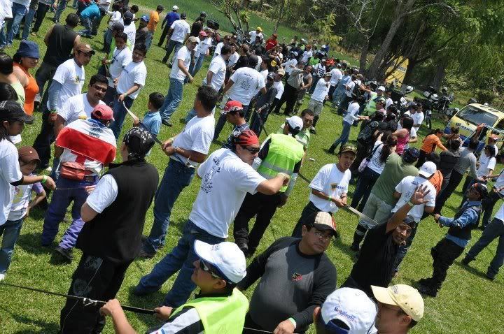 En las actividades