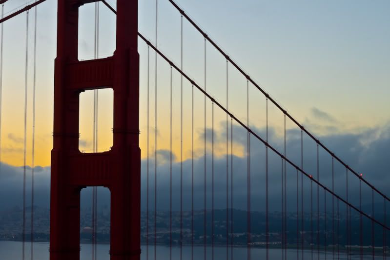 IMAGE: http://i58.photobucket.com/albums/g261/oneleftfordead/20100921-IMG_0037-3.jpg