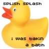 splish splash was taking a bath Pictures, Images and Photos