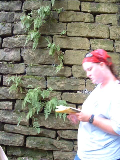 Linda identifying a fern really fast, hence the blur