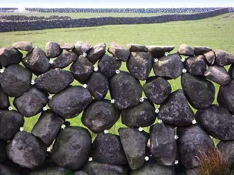 The Stone Wall to Release Feelings