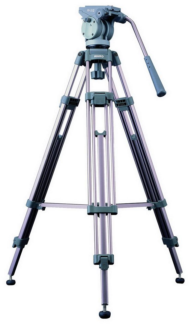 88f44169.jpg