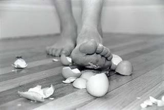 Eggshells Pictures, Images and Photos