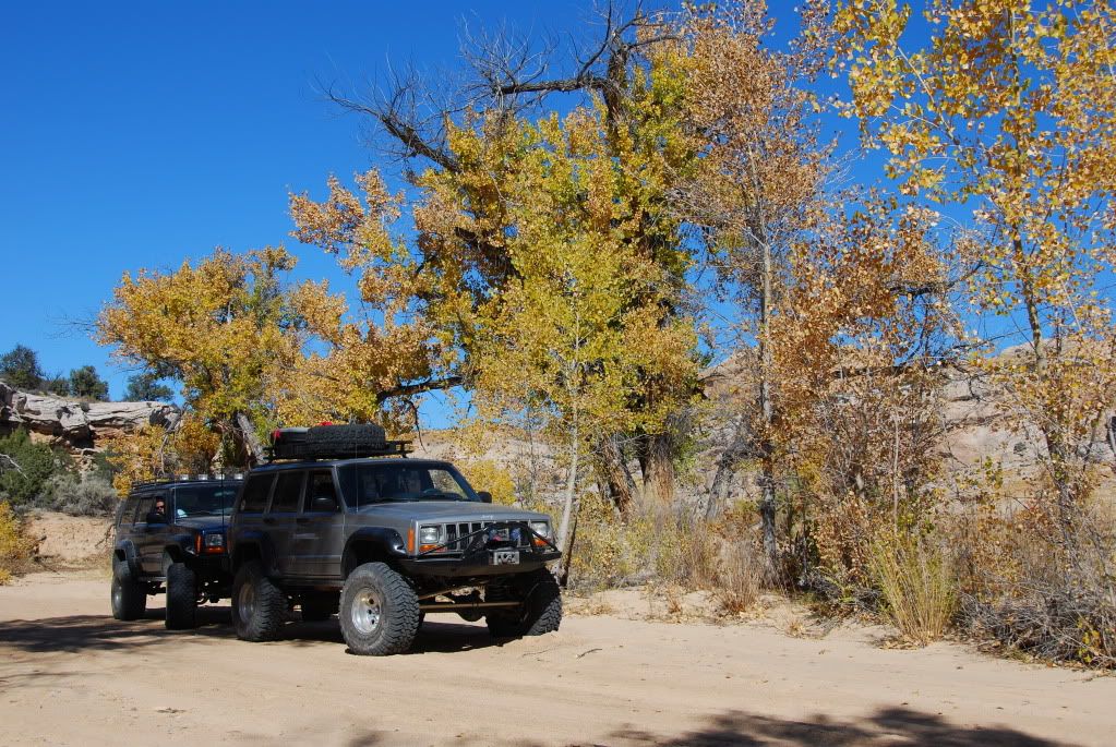 DSC_4215.jpg