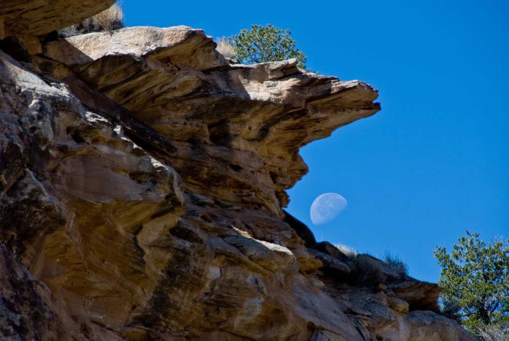 themoon.jpg
