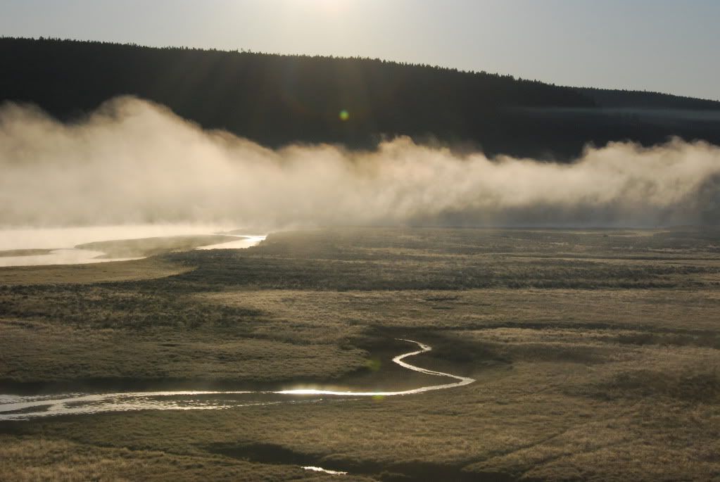 20090903_3504.jpg