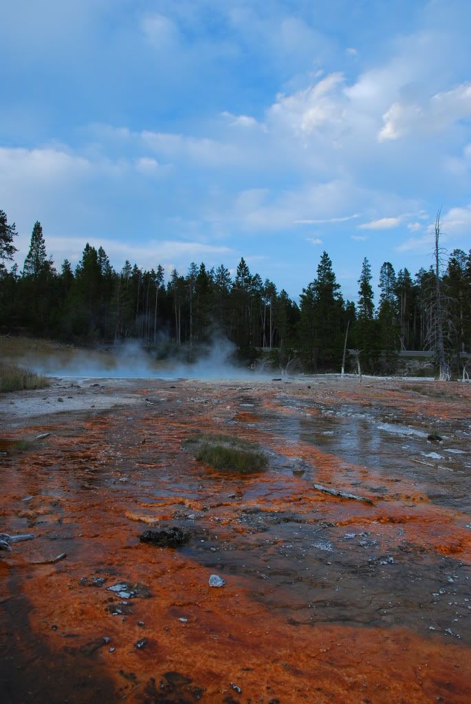 20090903_3574.jpg