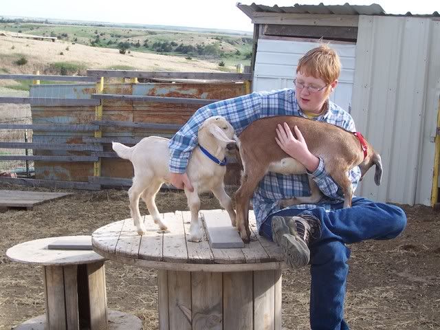 Let's see your (human) kids & goat pics! - Goats