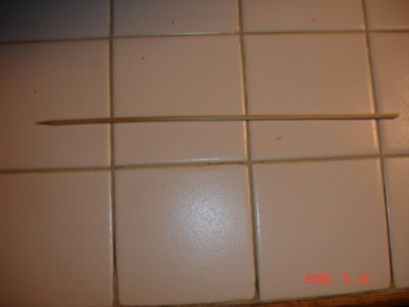 DSC01305.jpg