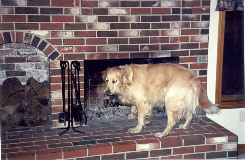 DogintheChimney2.jpg