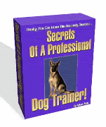 dog-training photo:dog training pads bulk 