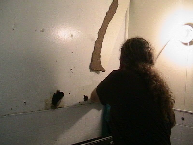 investigating the holes 2004