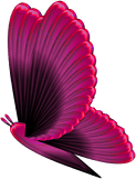 Pink butterfly* Pictures, Images and Photos