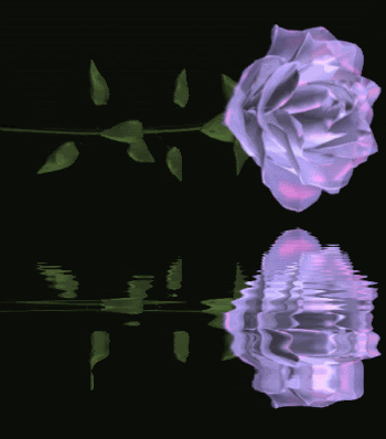 pretty flower! Pictures, Images and Photos