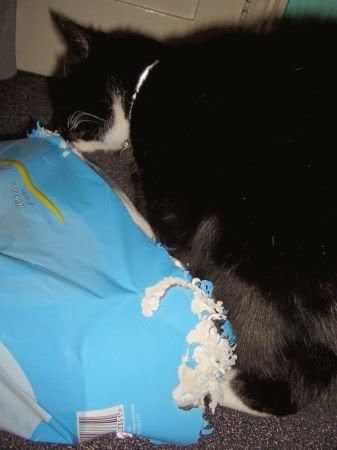 Tobacco & mouse chewed loo roll!