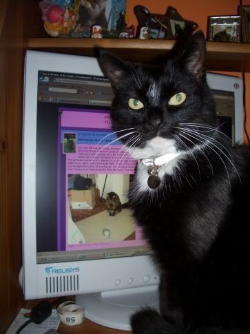 Tobacco checking out his blog