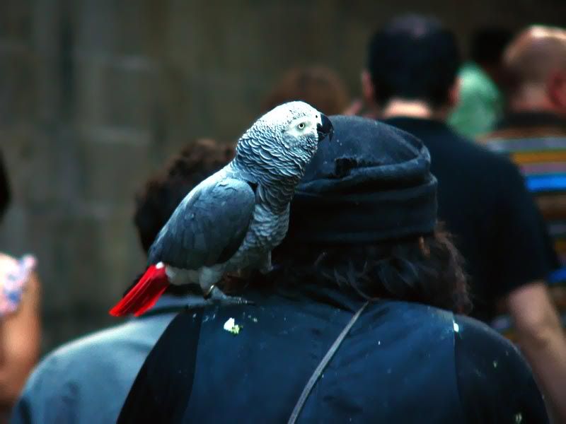 Photo Sharing and Video Hosting at Photobucket