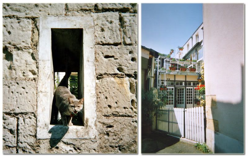 Photo Sharing and Video Hosting at Photobucket