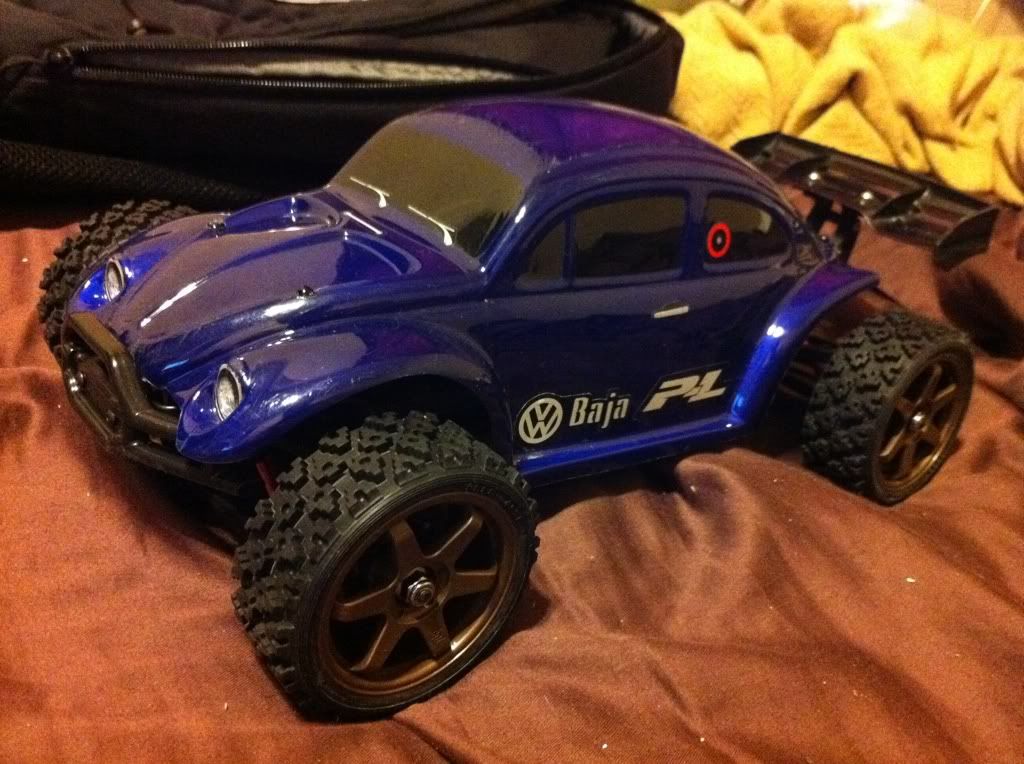 proline bug body