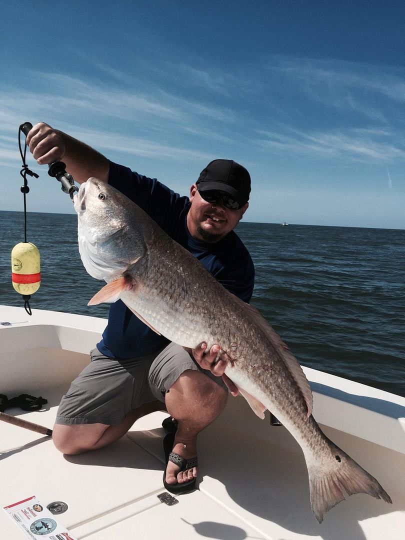 Cabbage key tournamentlate post Dedicated To The Smallest Of Skiffs
