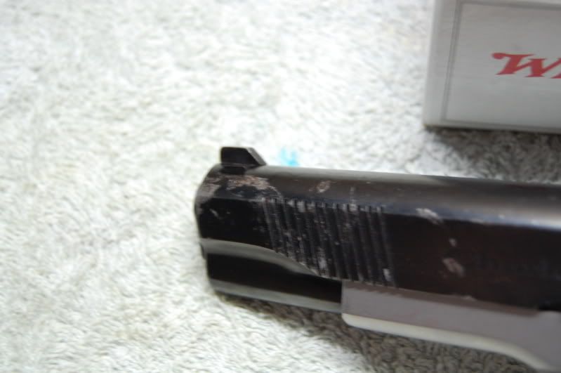 [Image: DSC_0166.jpg]