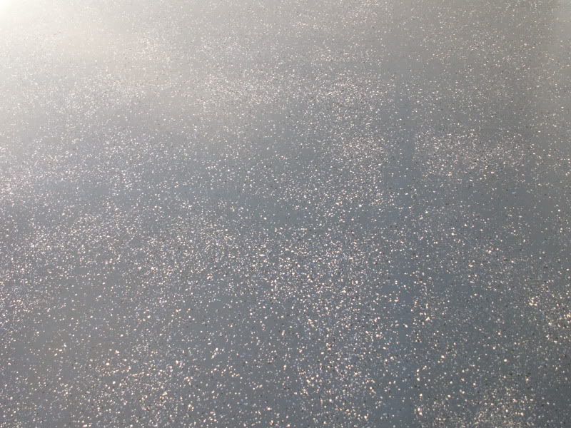 [Image: PICT0436.jpg]