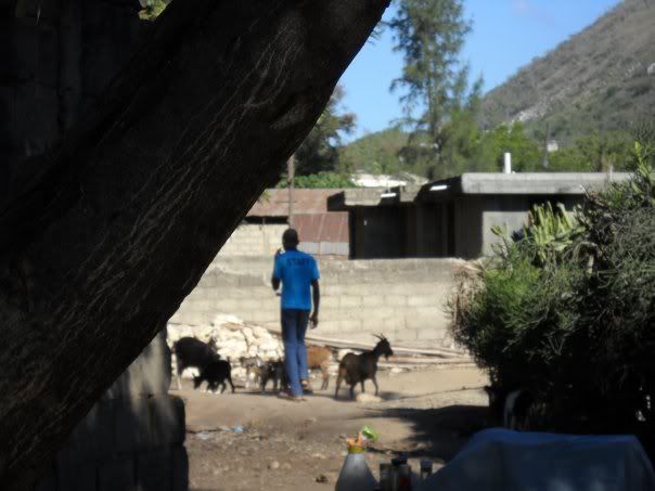 [Image: PignonCity.jpg]