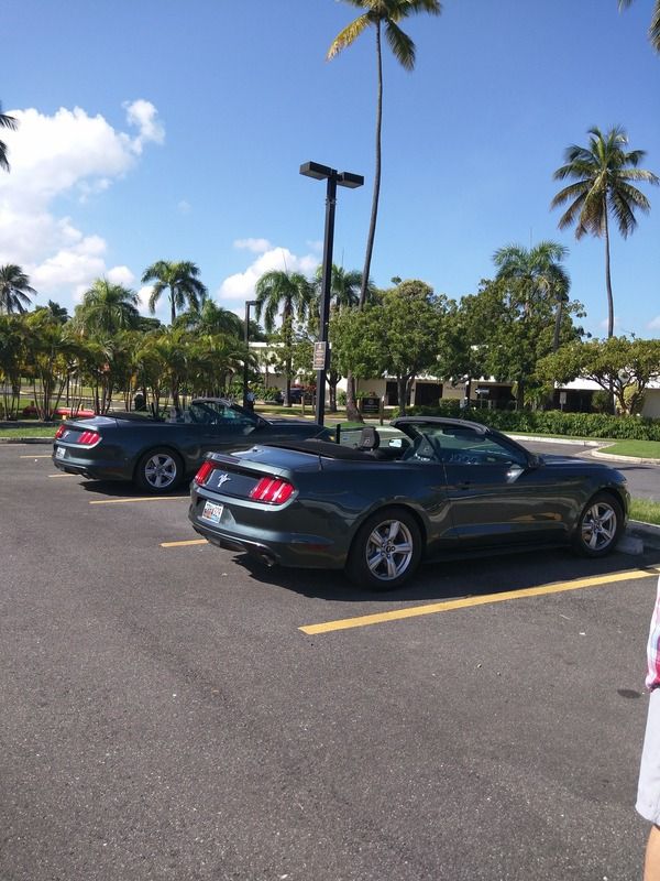 [Image: IMG_20160109_092640_zpsg0ojjuth.jpg]