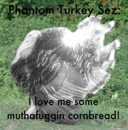 [Image: phantomturkey-3.png]