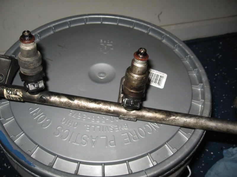 [Image: IMG_0525.jpg]