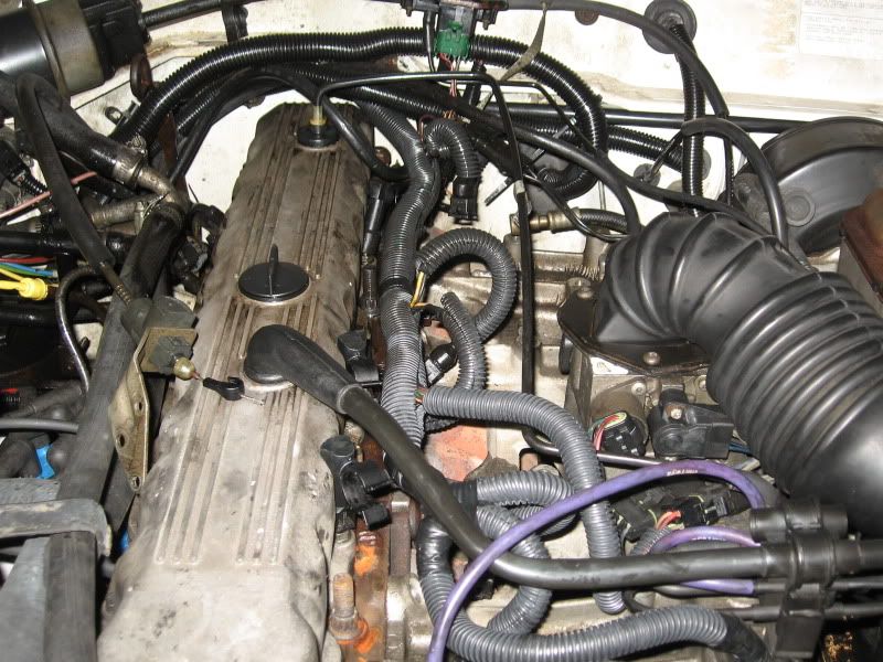 [Image: IMG_0527.jpg]