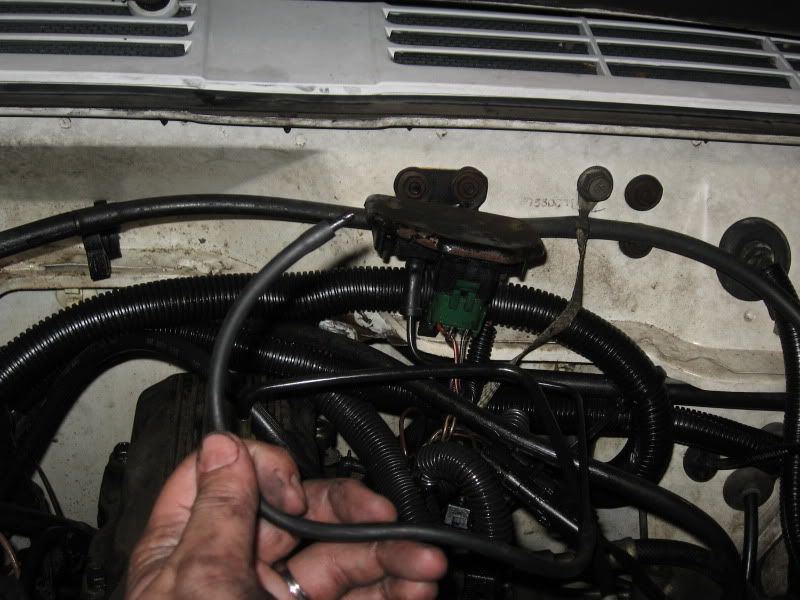 [Image: IMG_0528.jpg]