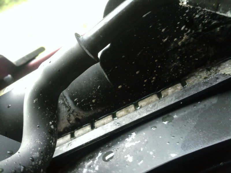 [Image: 2010-08-12182204.jpg]