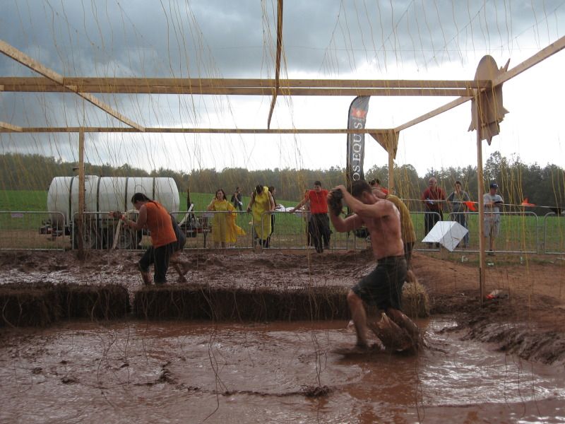 [Image: IMG_0588.jpg]