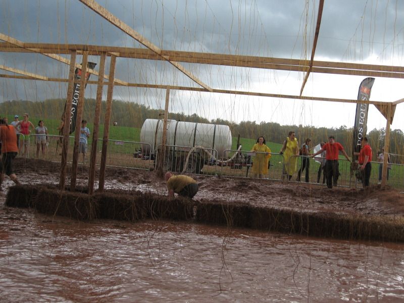 [Image: IMG_0589.jpg]